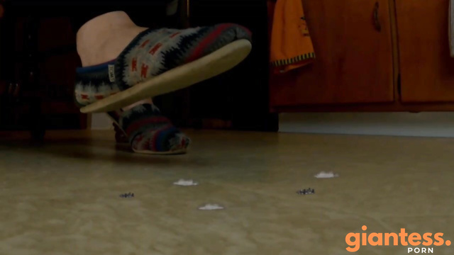 Subsin13 - Mitzi Unknowingly Destroys Micro Cities in The Kitchen