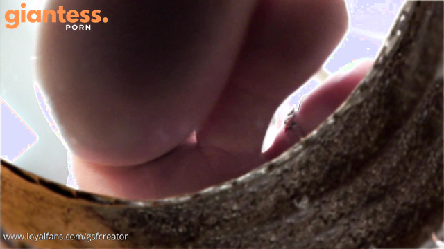 GSFCreator - Tiny Slave Trapped in The Toe Ring of a Barefoot Goddess