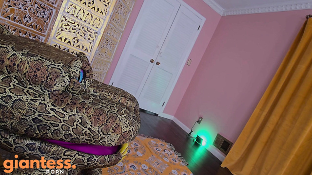 Barbatus Fetish And Training Academ - King Kaa Mesmerize And Swallow Nude Girl