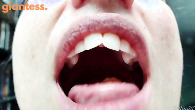  Vore