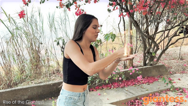 Rise OF The Giantess - Crushed Without Mercy: The Tiny Army VS Giantess Andrea