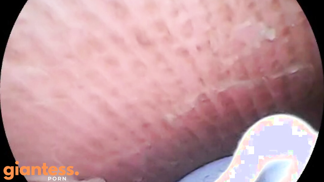 Southern Giantess - Micro Boss Needs Help Go Out From Slippers