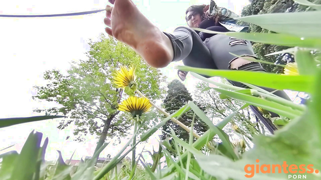 Canadian And Asian Giantess Fantasy - EXTREME Ground Tremors: The Dandelion Jungle Awakens