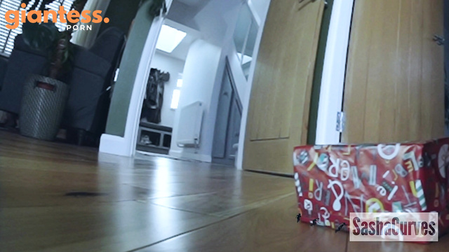 Sasha Curves - Not Home Alone: Giantess With Vibrator On Christmas