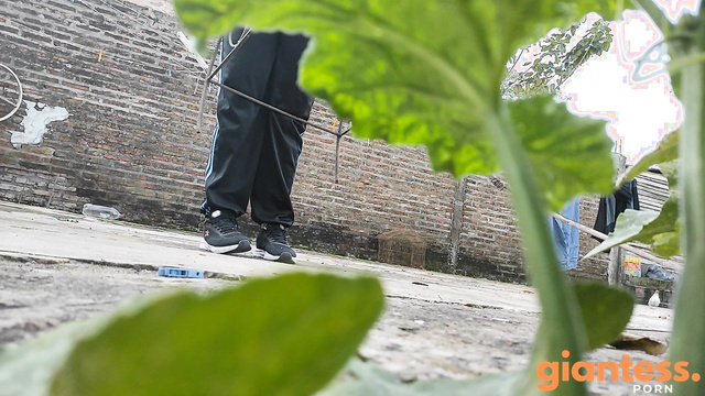 MollyDolly - Feeling Small: POV From a Garden Insect on Madame’s Toes