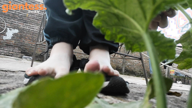MollyDolly - Feeling Small: POV From a Garden Insect on Madame’s Toes