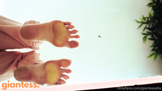 XGiantess - It’s Your Birthday And Your Stepsis Grants You Her Barefeet