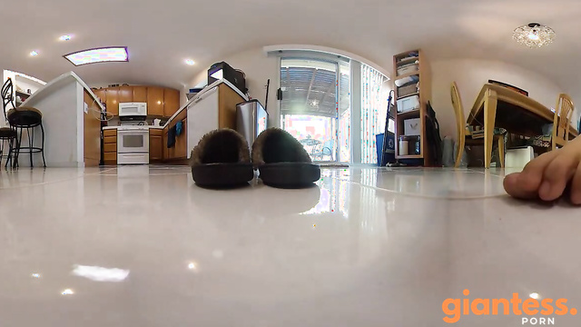 Tinyhybrid - Secret Tiny Fan Worships The Giantess Beautiful Soles