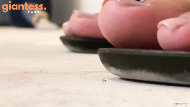 WorldUnseenFilms - Trapped And Tiny: Bugs at The Mercy of Giantess Toes